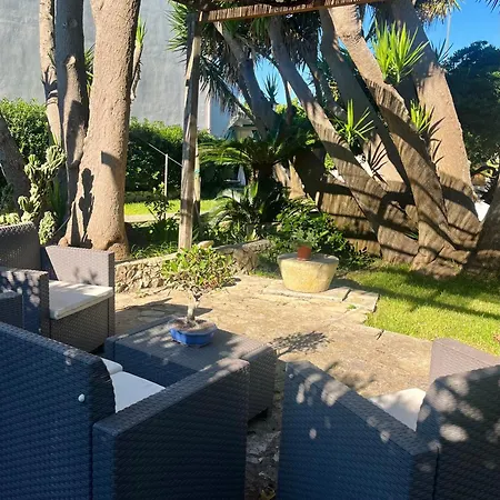 Terra Di Mare Vignacastrisi