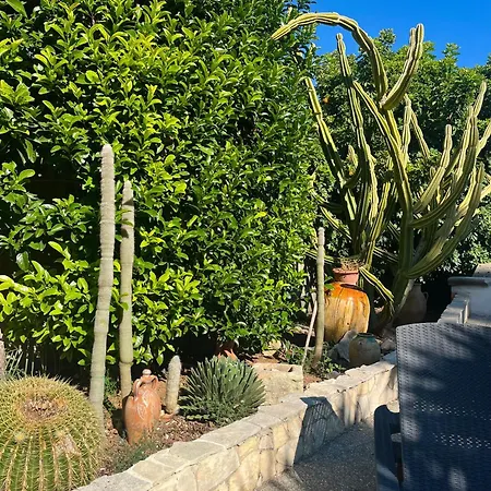 Terra Di Mare Vignacastrisi