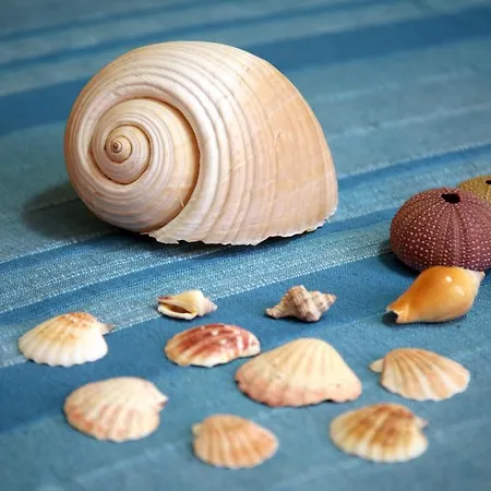 Terra Di Mare Hébergement de vacances