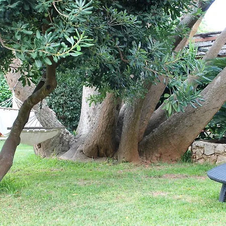 Ferienhaus Terra Di Mare Vignacastrisi